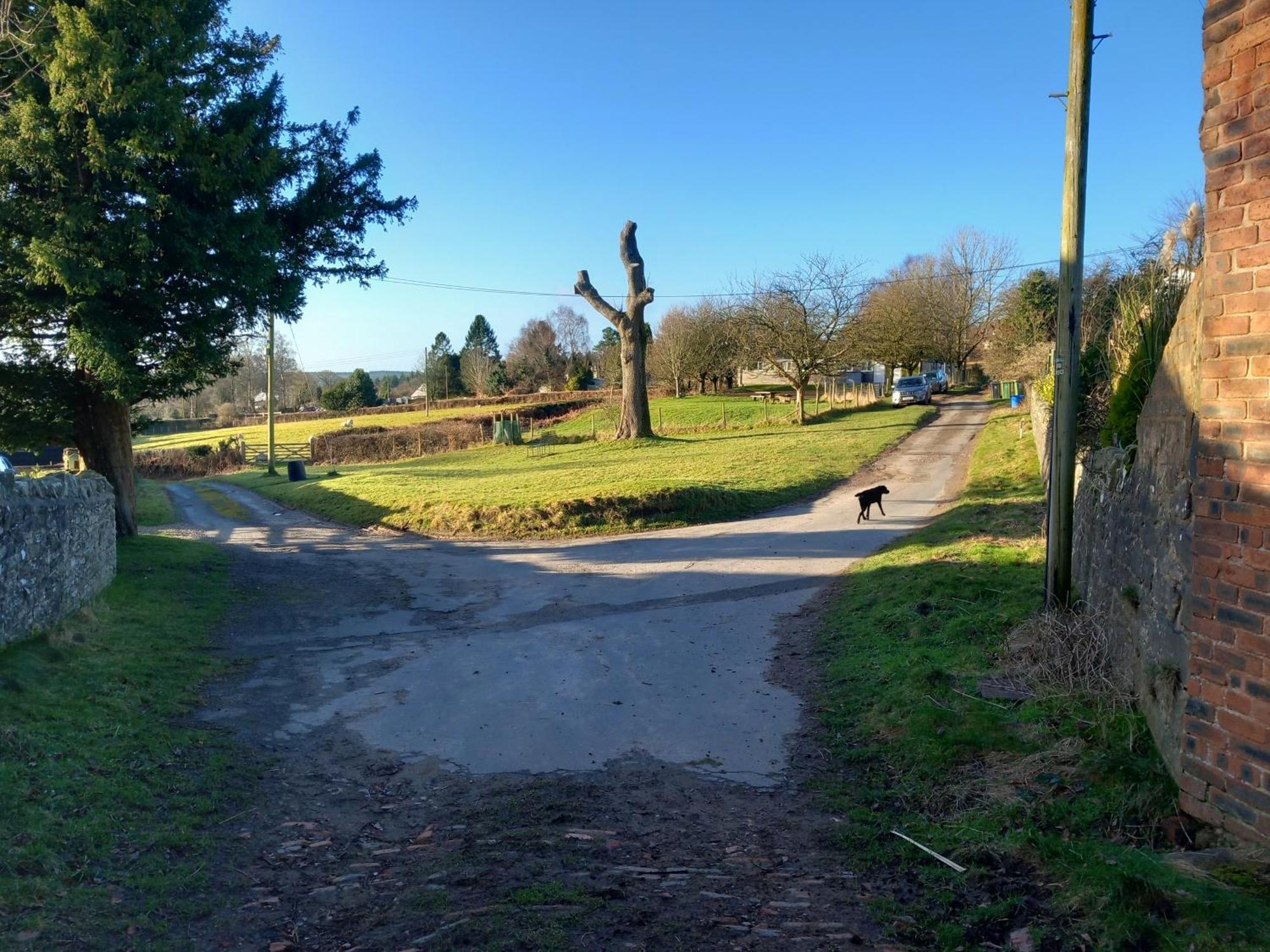 The Bungalow, Forest Of Dean Coleford  Extérieur photo