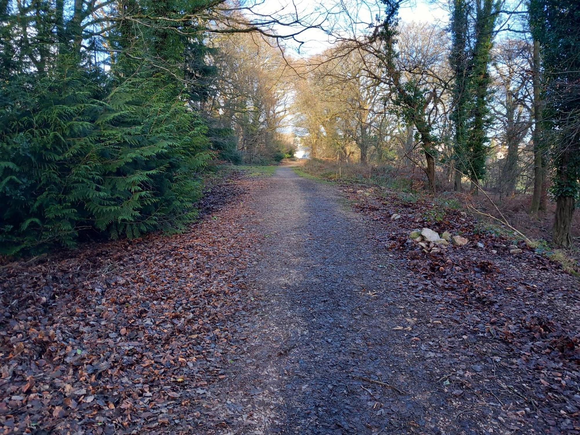 The Bungalow, Forest Of Dean Coleford  Extérieur photo