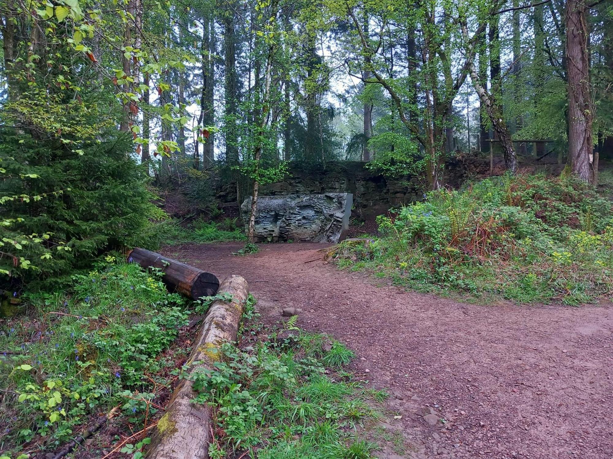 The Bungalow, Forest Of Dean Coleford  Extérieur photo